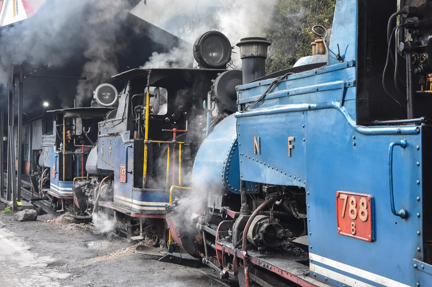 Darjeeling Himalayan Railway toy train, near the route to Pelling